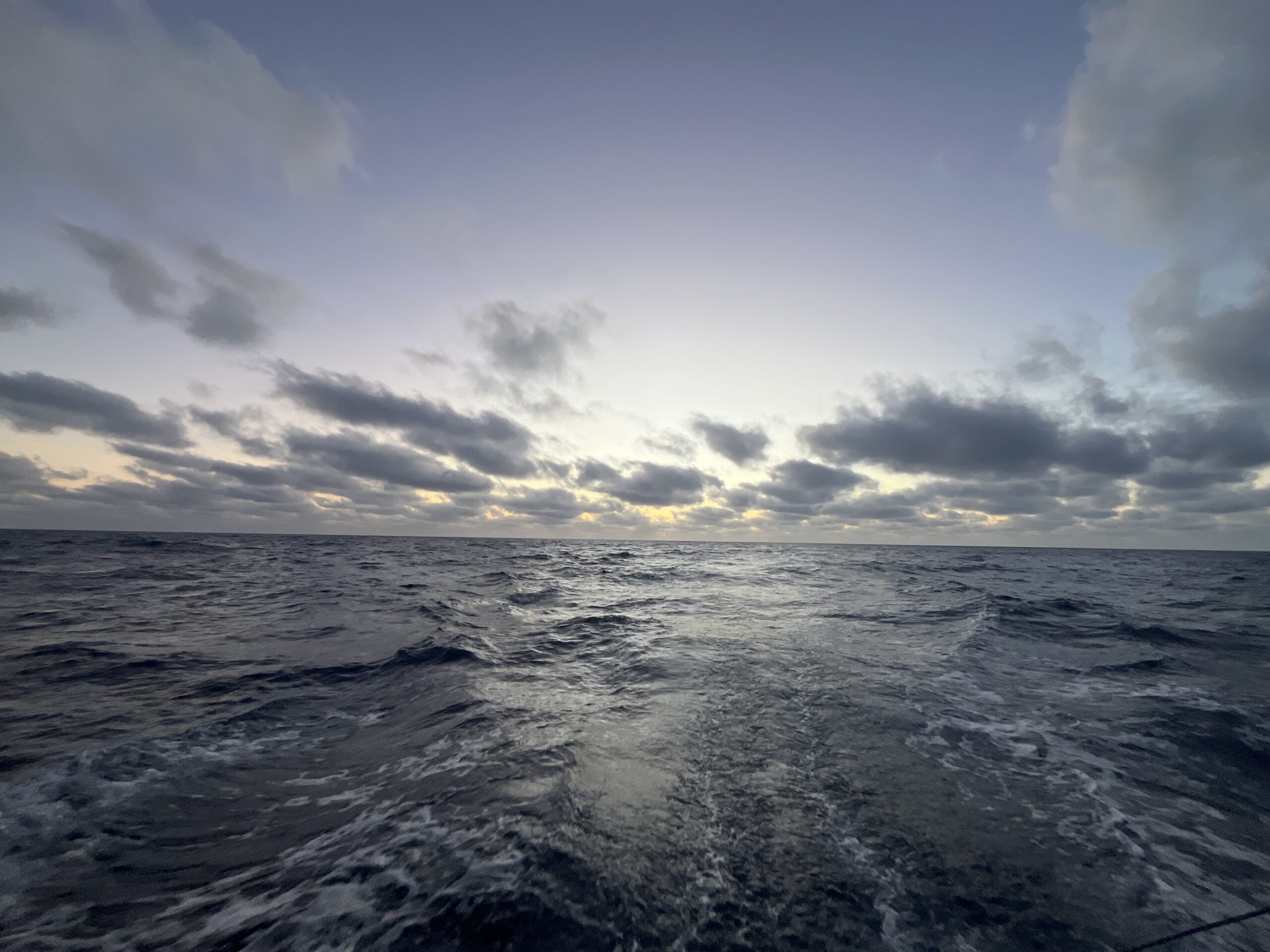20260504 – SOS PREMA 5